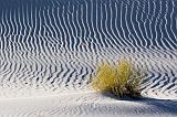 White Sands_32206